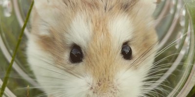 Photo by My Name on Unsplash