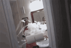 tumblr_m69kc3pump1qzcv7no2_r1_250